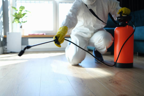 Reliable Odor Removal contractor in Modesto, CA by Dulley Family Biohazard Services